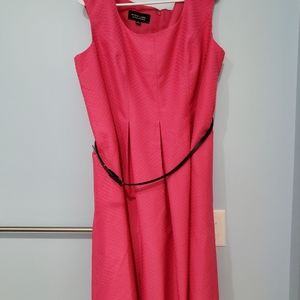Black Label Pretty in Pink and Black Belt Dress